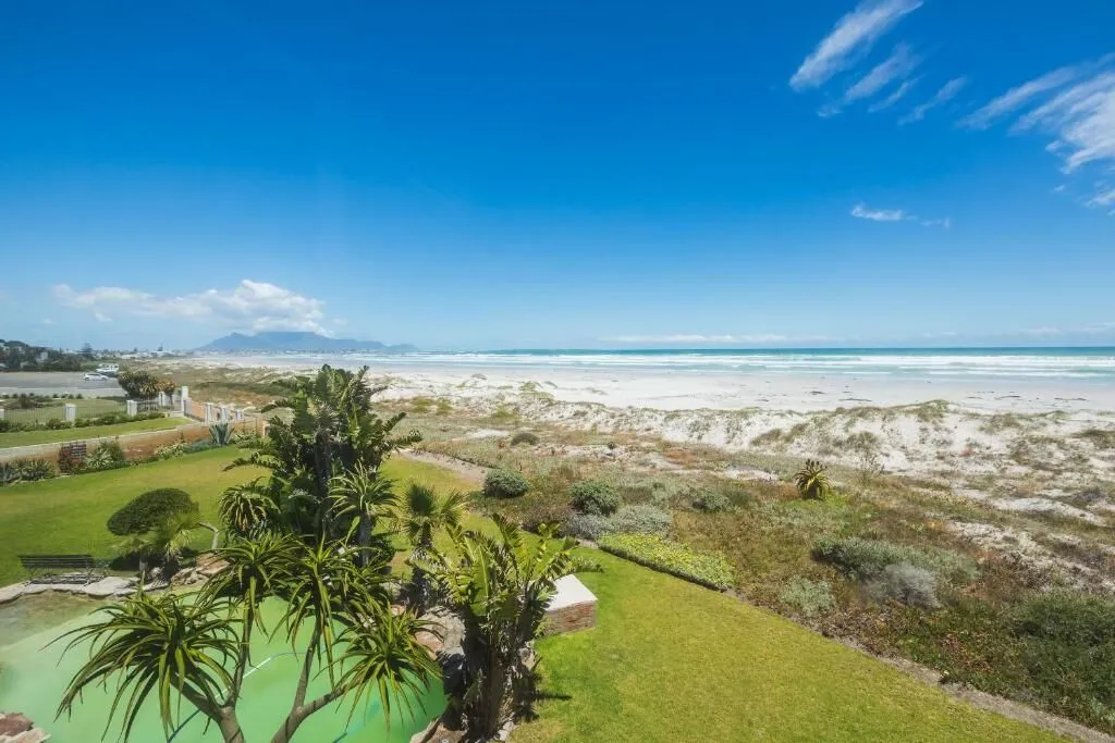 Beach view with palm trees green lawn and blue sky