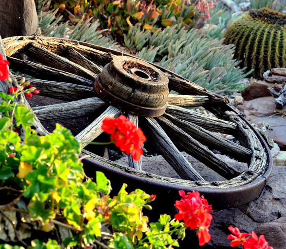 Kalahari Bush Breaks Lodge
