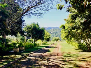 Dirt path through a lush green park with trees and distant hills