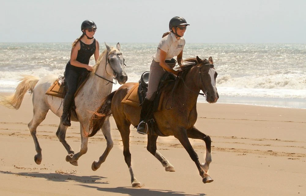 Elephant Coast Guesthouse