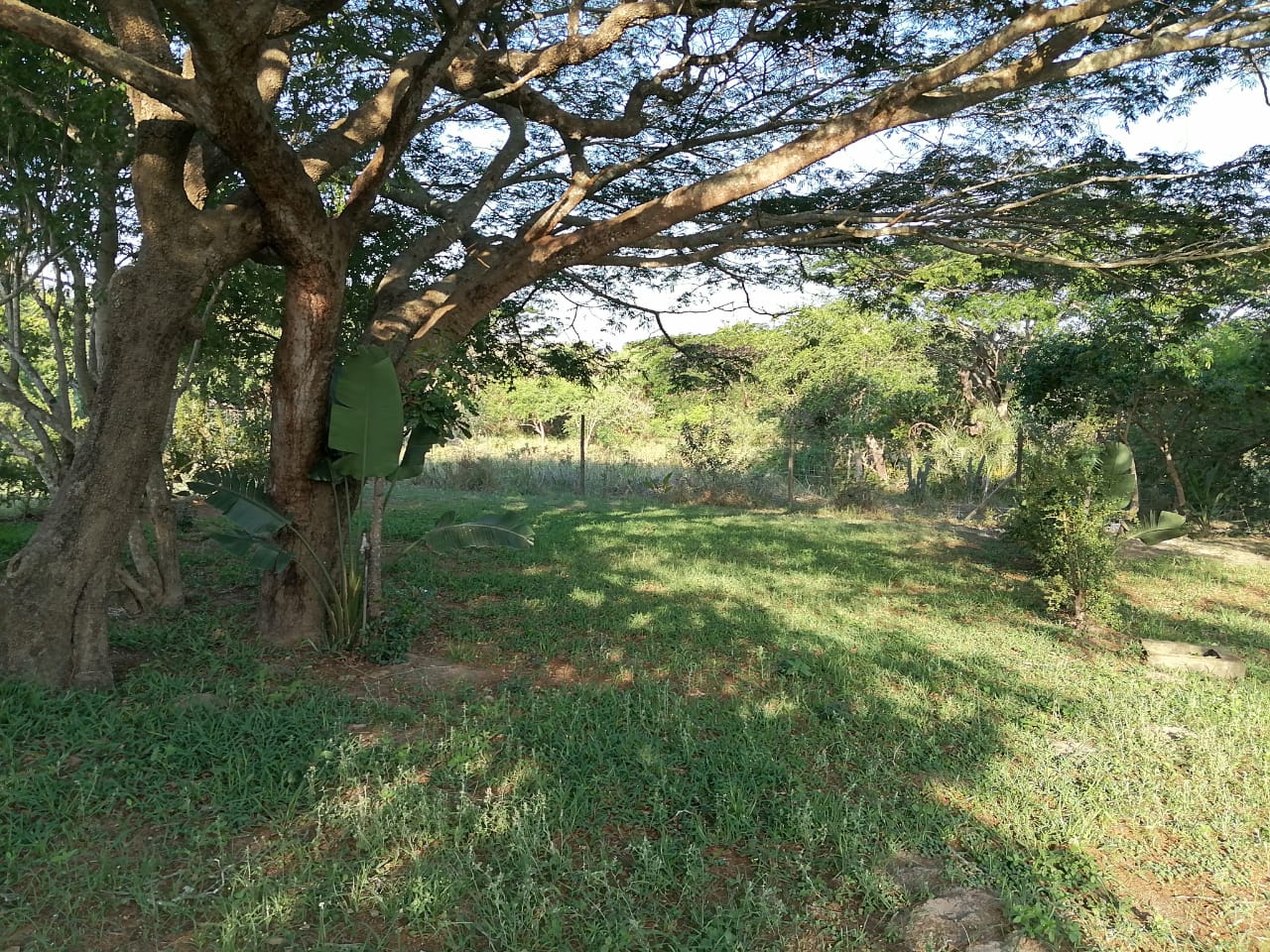 Kingfisher Bush Lodge in Ponta Do Ouro 4