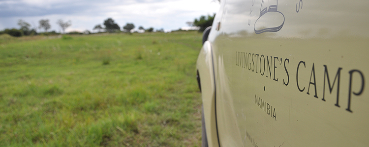 Livingstone's Camp