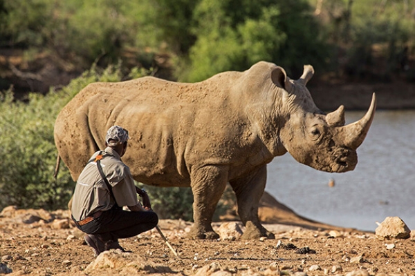 Mount Etjo Safari Lodge