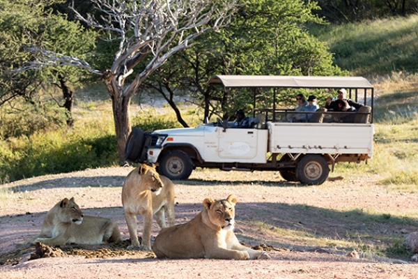 Mount Etjo Safari Lodge