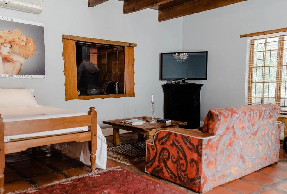 Cozy living room with patterned sofa bed TV and wall art