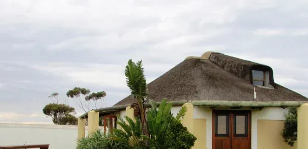 House with a thatched roof plants in front and cloudy sky