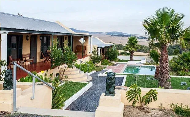 Singlestory house with pool garden and palm trees in a rural setting