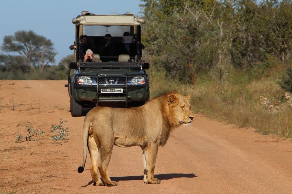 Moya Safari Lodge and Villa