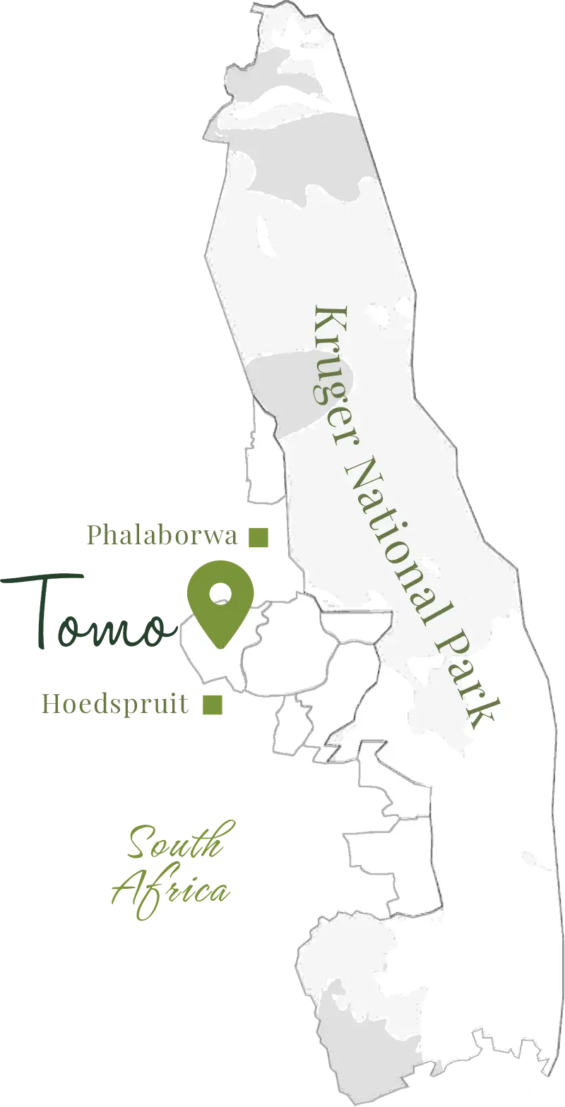 Tomo Safari Lodge