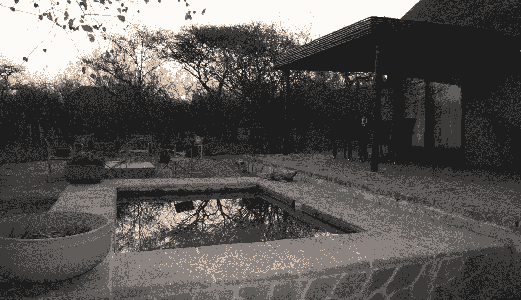 Zebra Lodge
