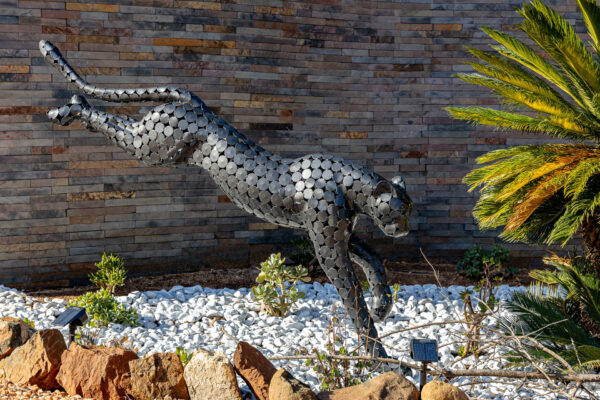 Ingwenkala Luxury Safari Lodge