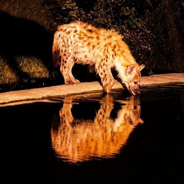 Ximuwu Safari Lodge