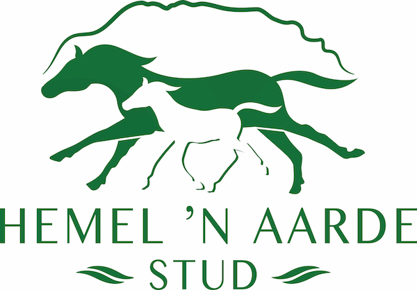 Hemel 'N Aarde Stud