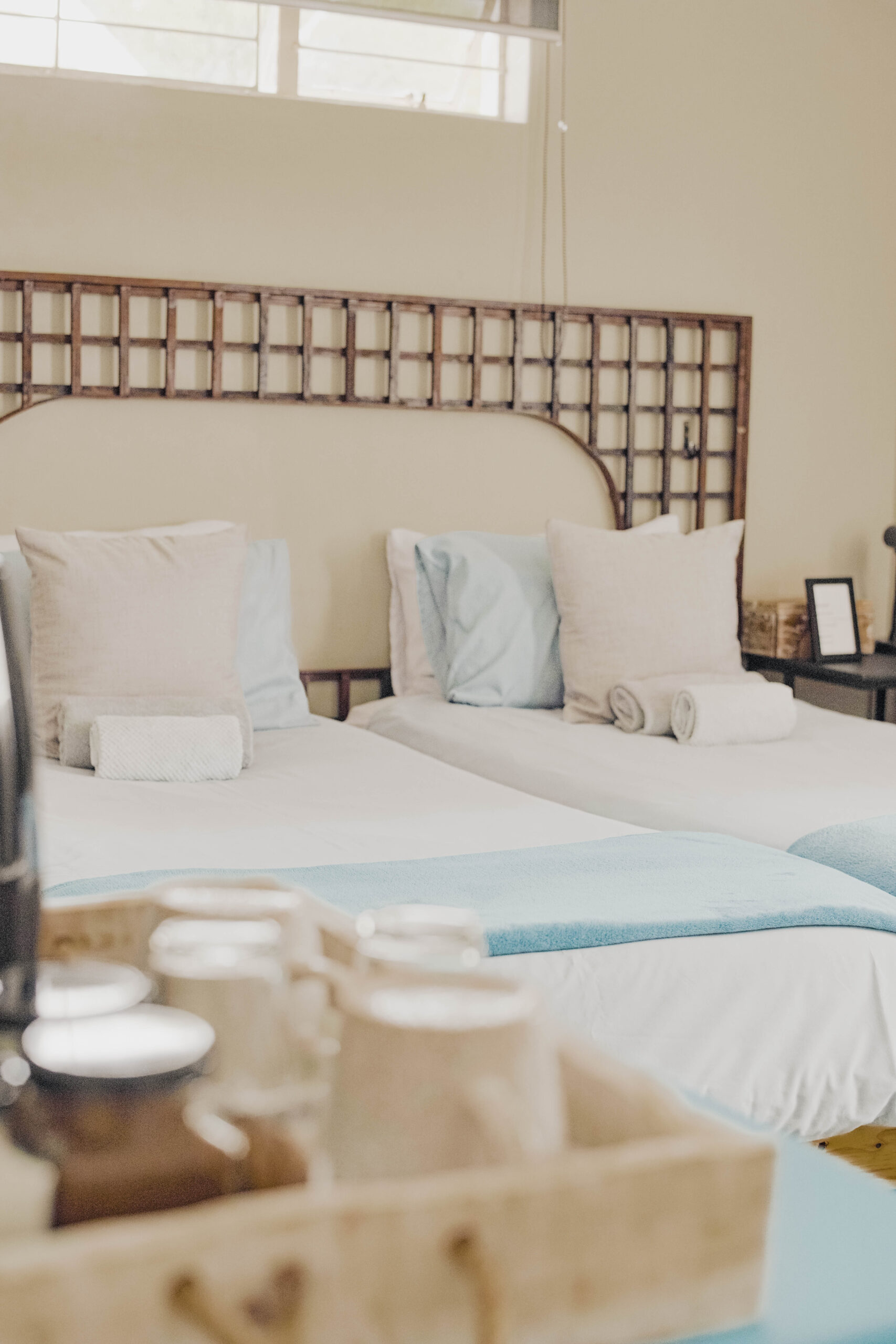 Kate's Nest Guesthouse & Tours