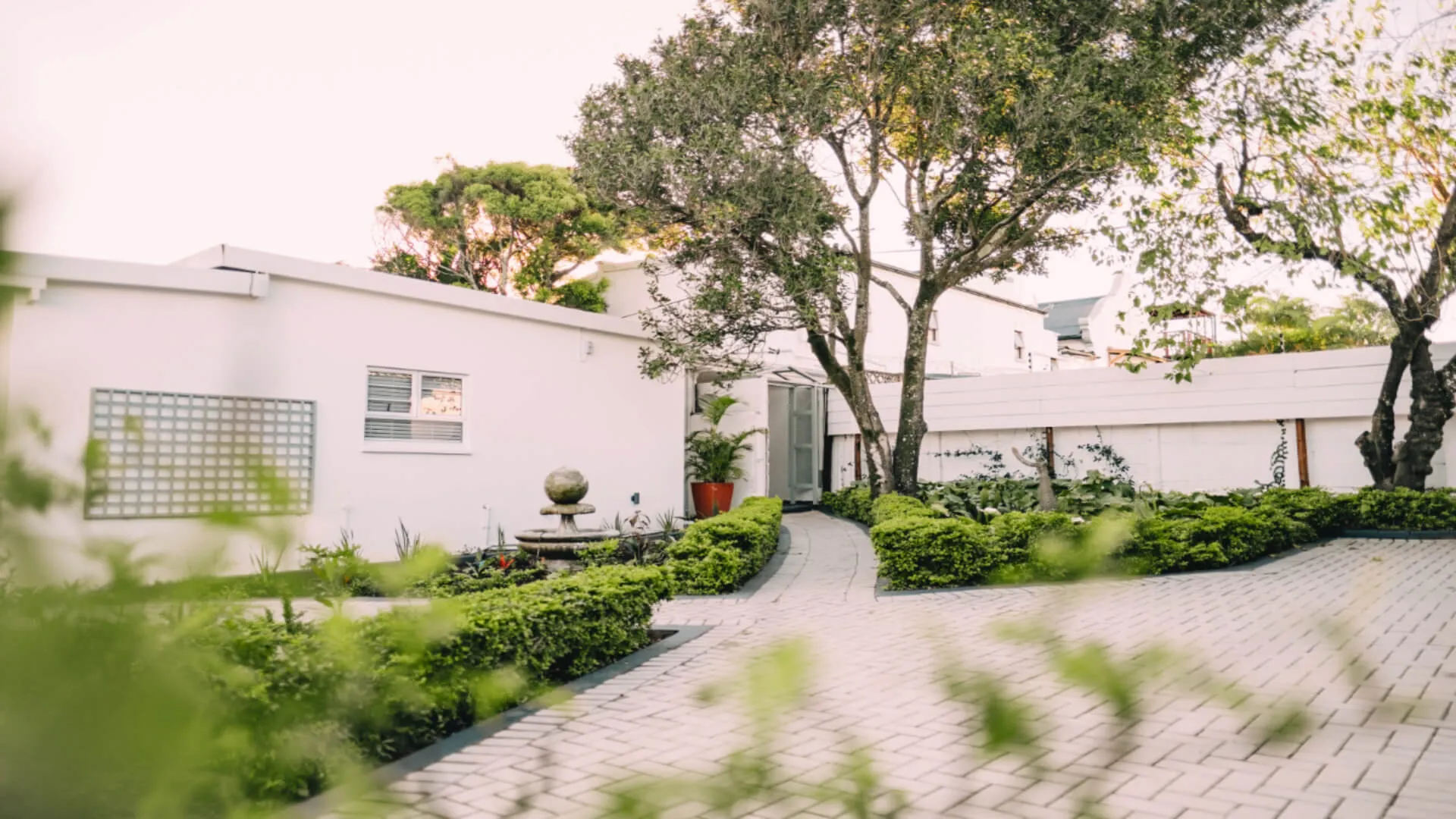 White house with garden pathway trees and greenery in the foreground