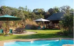 Outdoor pool area with lounge chairs umbrellas and a shaded dining area