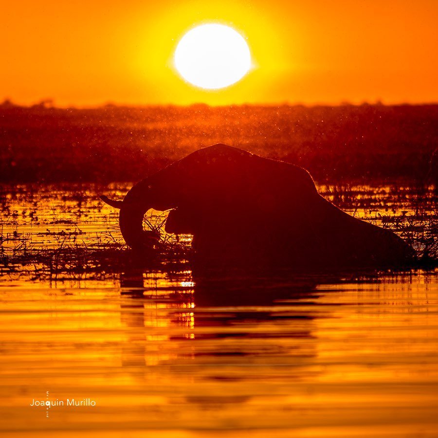 Tlouwana Safari Camp
