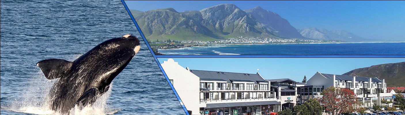 Whale Coast Hotel