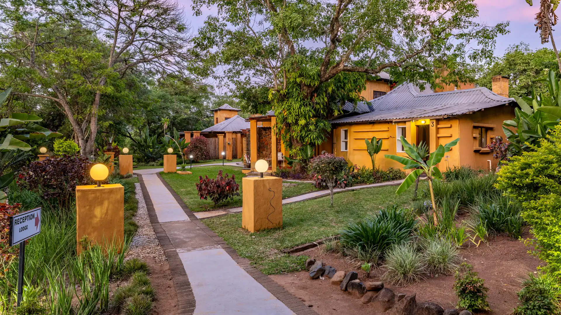 Gecko Lodge