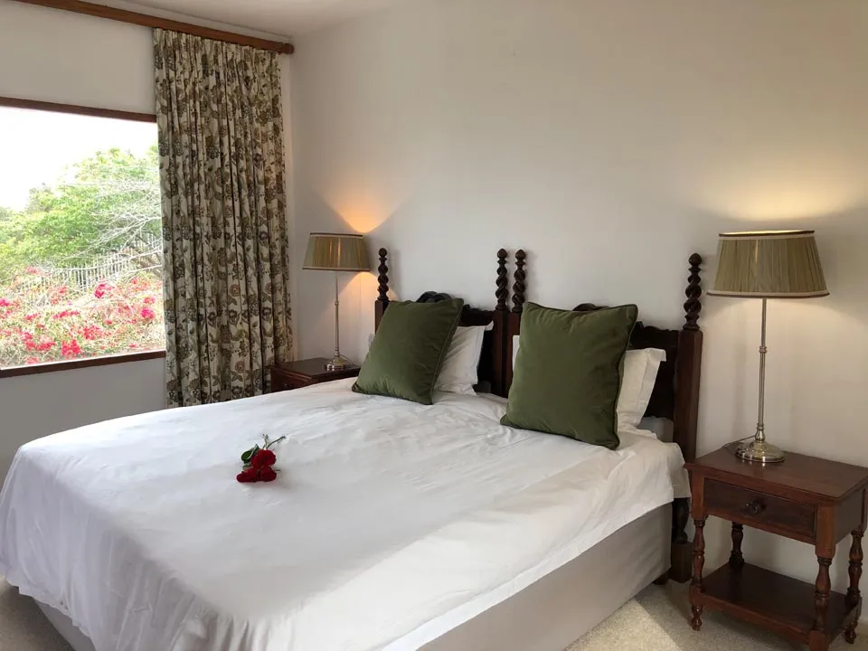 Bedroom with large bed green pillows bedside tables lamps and garden view window