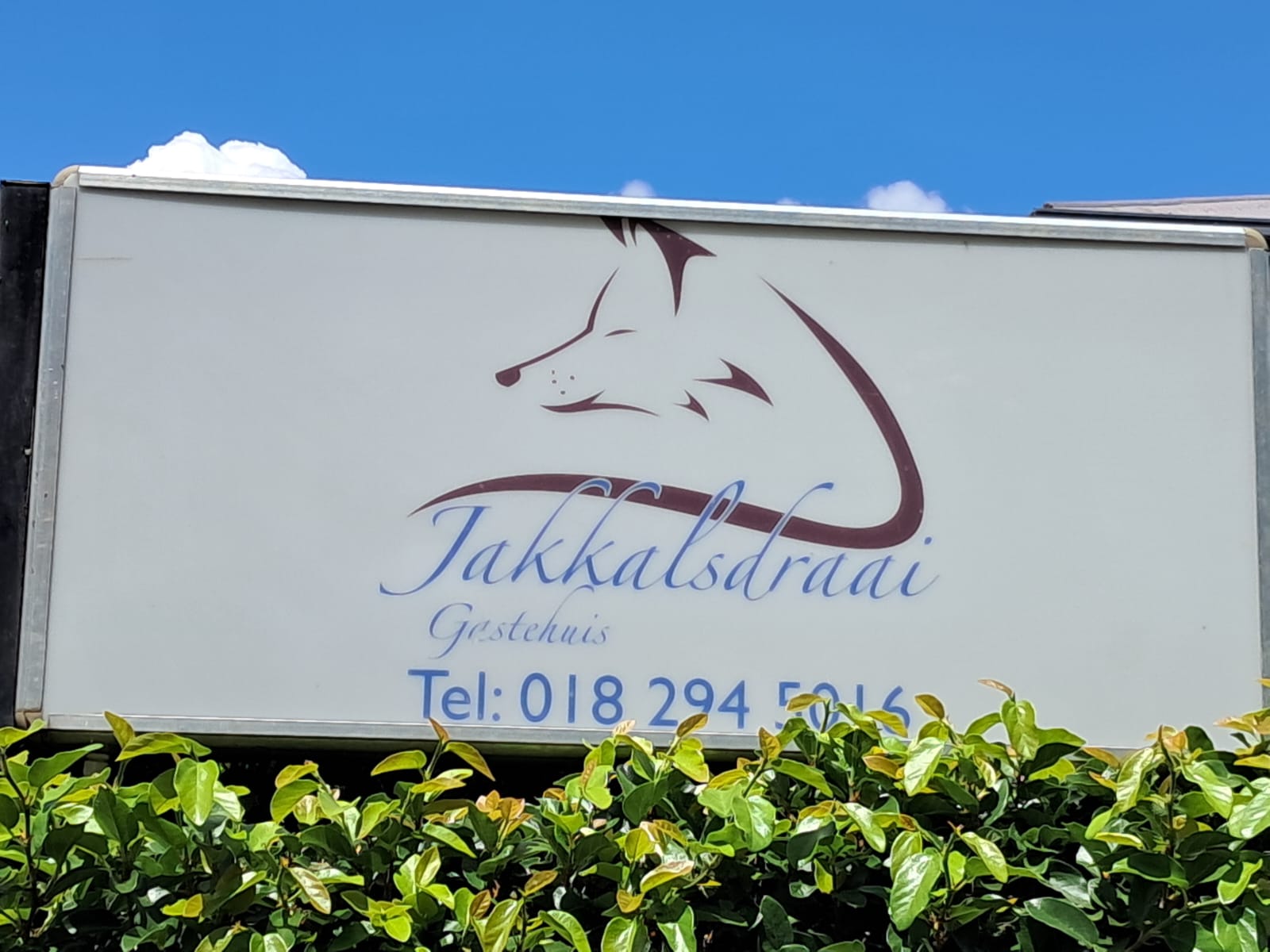 Jakkalsdraai Gastehuis
