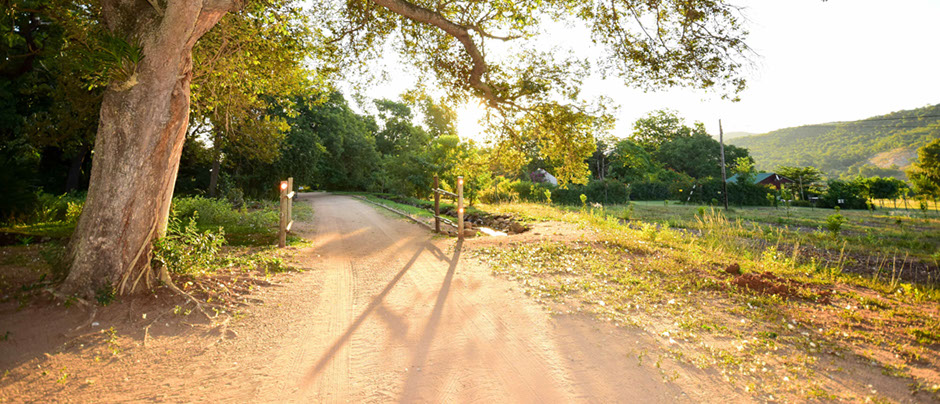 Kiaat Bungalows
