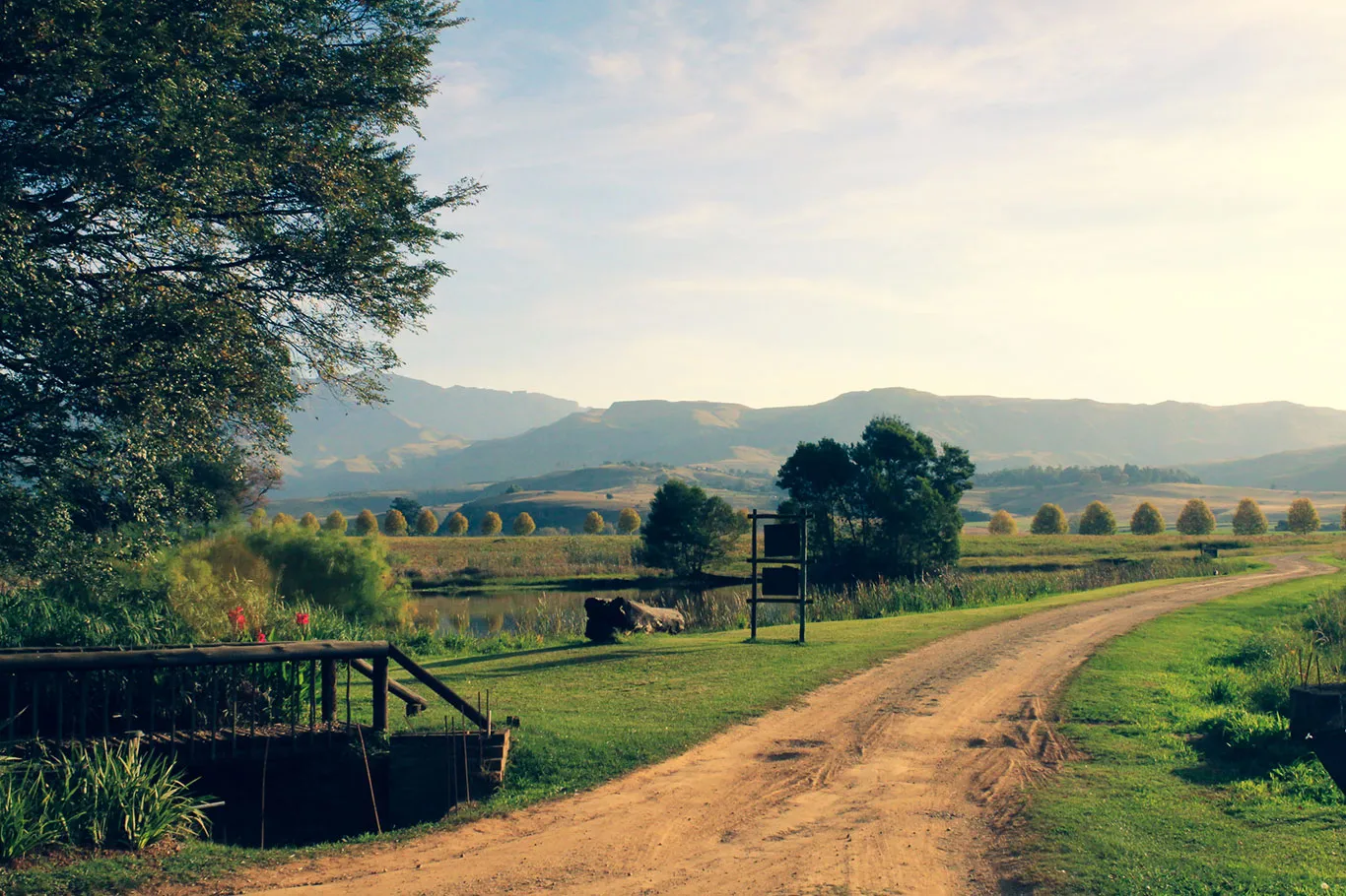 Dirt road in countryside with trees mountains and a wooden sign