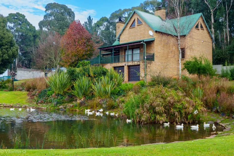 House with a green roof by a pond with ducks and surrounding greenery