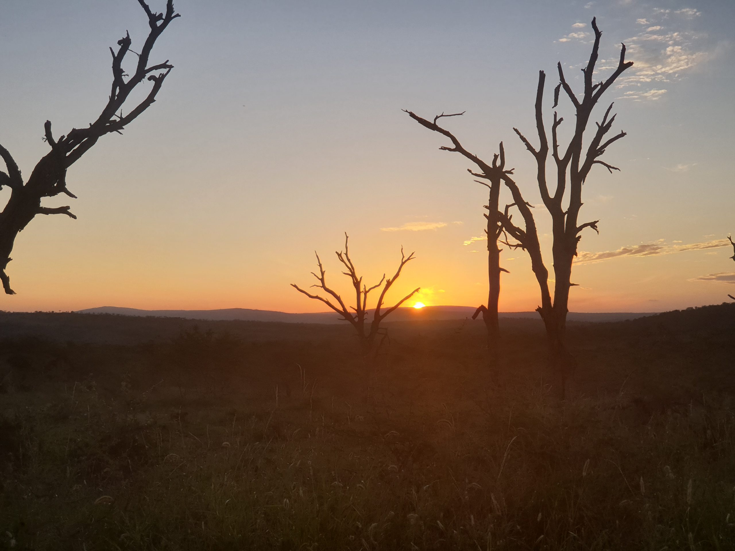 Pumusa Bush Camp