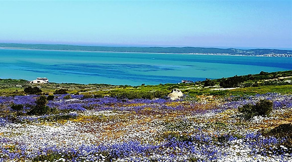 Steenbokkie Guest House in Langebaan 5