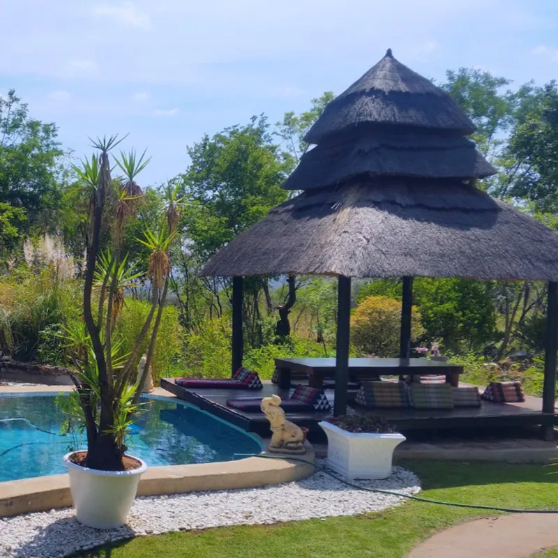 Tropical garden with a thatched gazebo pool and plants