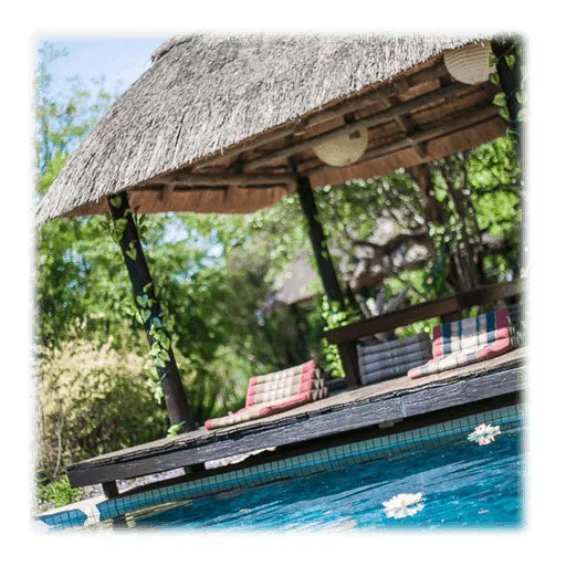 Thatched hut by a pool with floating flowers surrounded by greenery