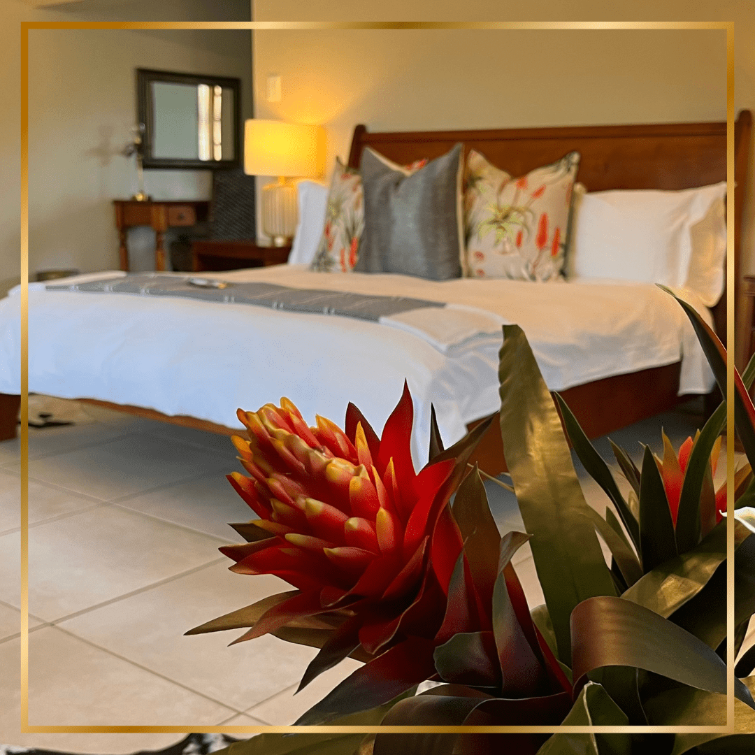 Benka Lifestyle Luxury Country Cottages