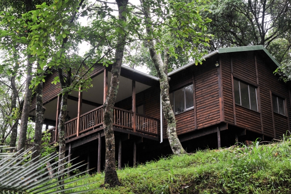 Forest Bird Lodge