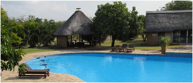 Swimming pool with lounge chairs thatched huts and tropical greenery in the background