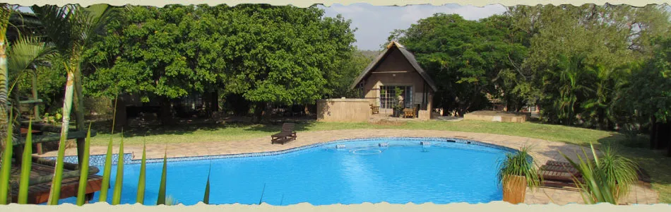 Swimming pool with lounge chairs surrounded by greenery and a small cabin