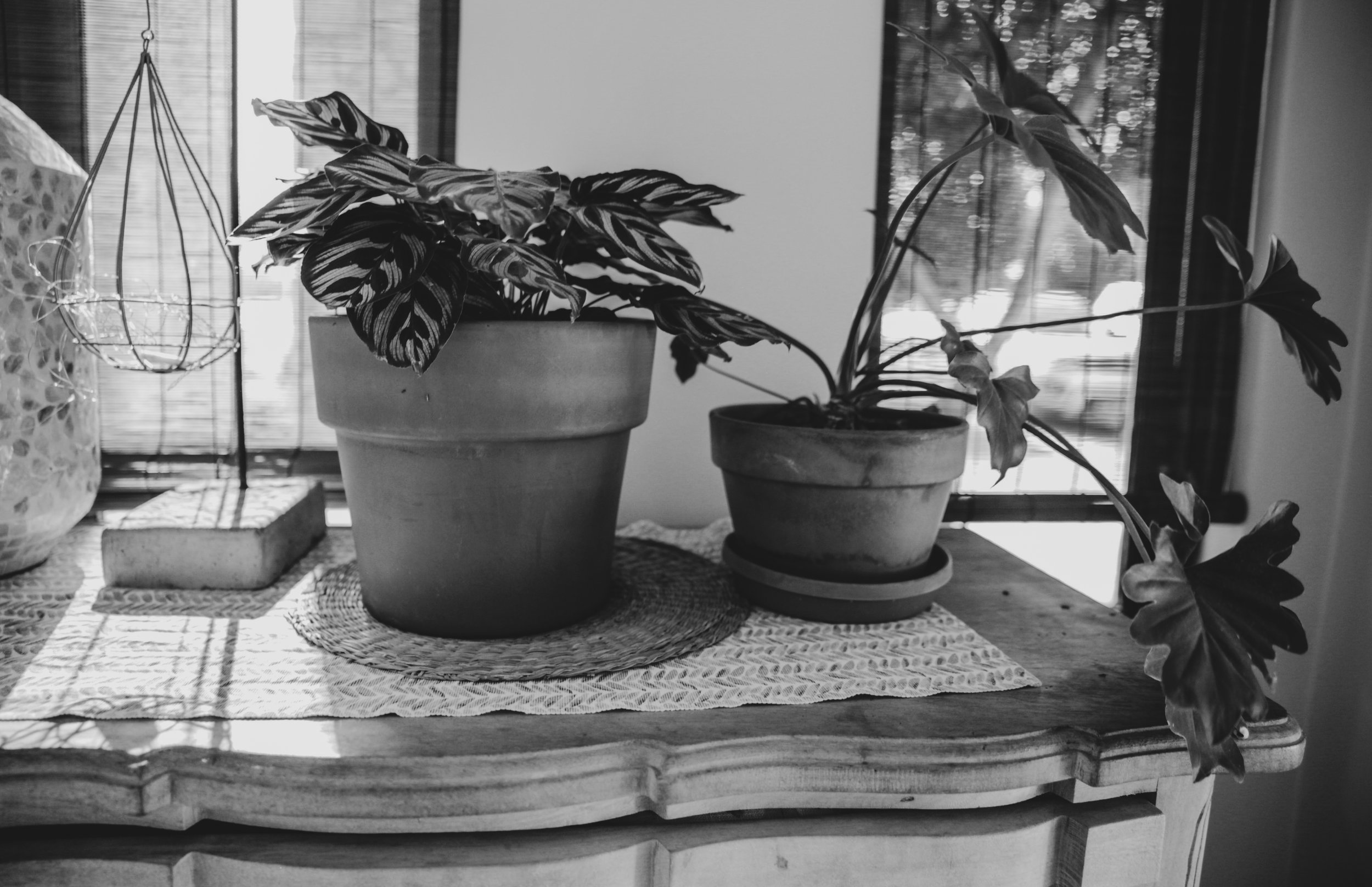 Komodo Guesthouse