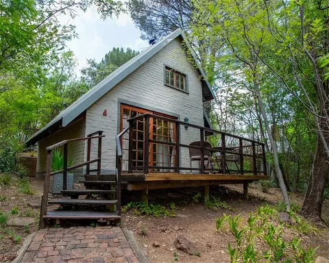 Small wooden cabin with a deck surrounded by trees in a forest