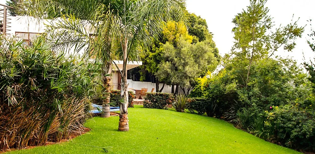 Lush green garden with palm trees and a house in the background