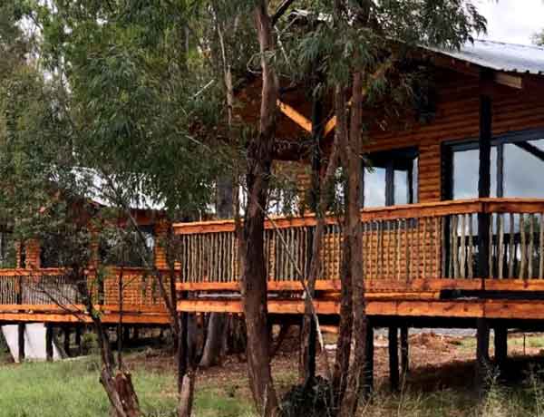 Nature's Loft