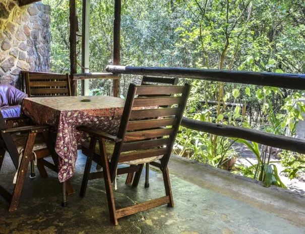 Wooden table and chairs on a patio with a forest view