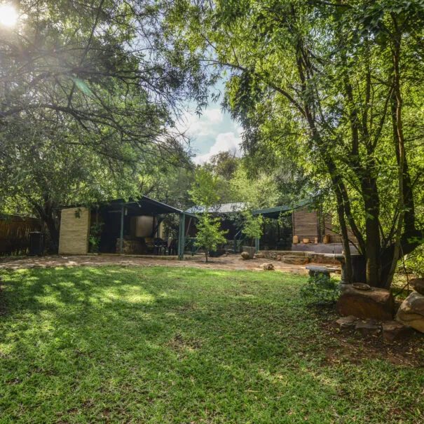 A shaded garden with trees grass and outdoor structures
