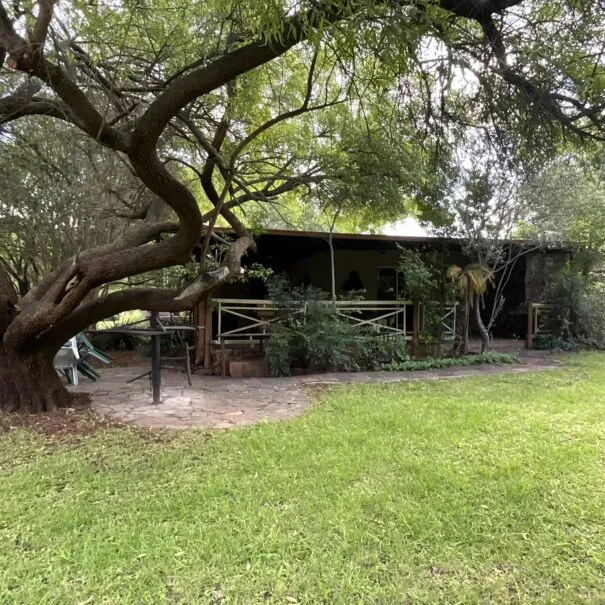 House with a large tree in front surrounded by greenery and a grassy lawn