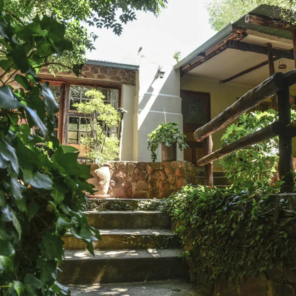 Stone steps leading to a cozy house entrance surrounded by lush greenery