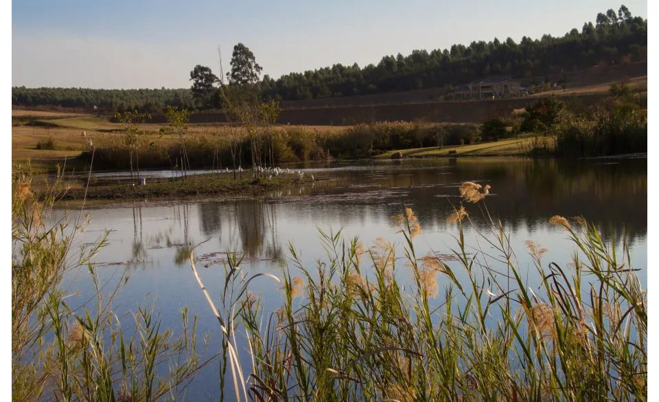 A serene lake surrounded by grass and trees at sunset