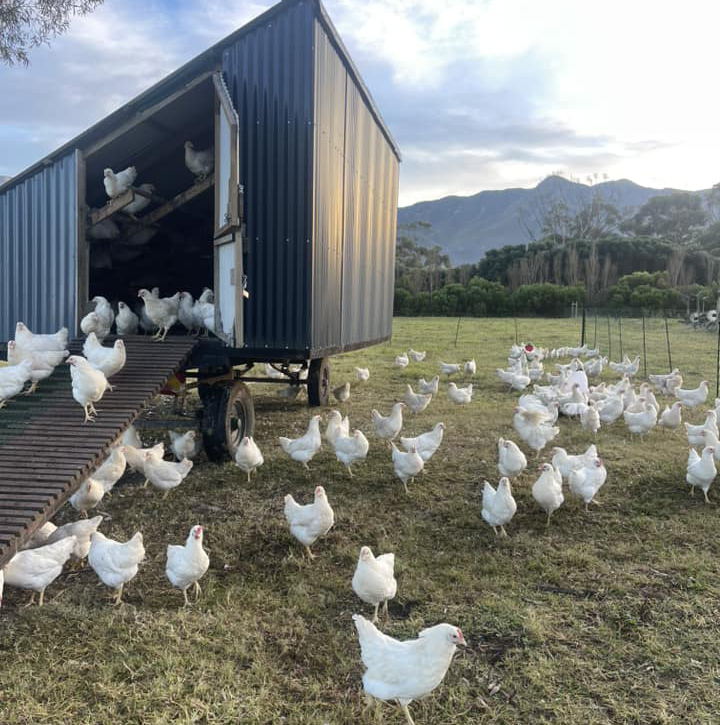 Rivergate Guest Farm