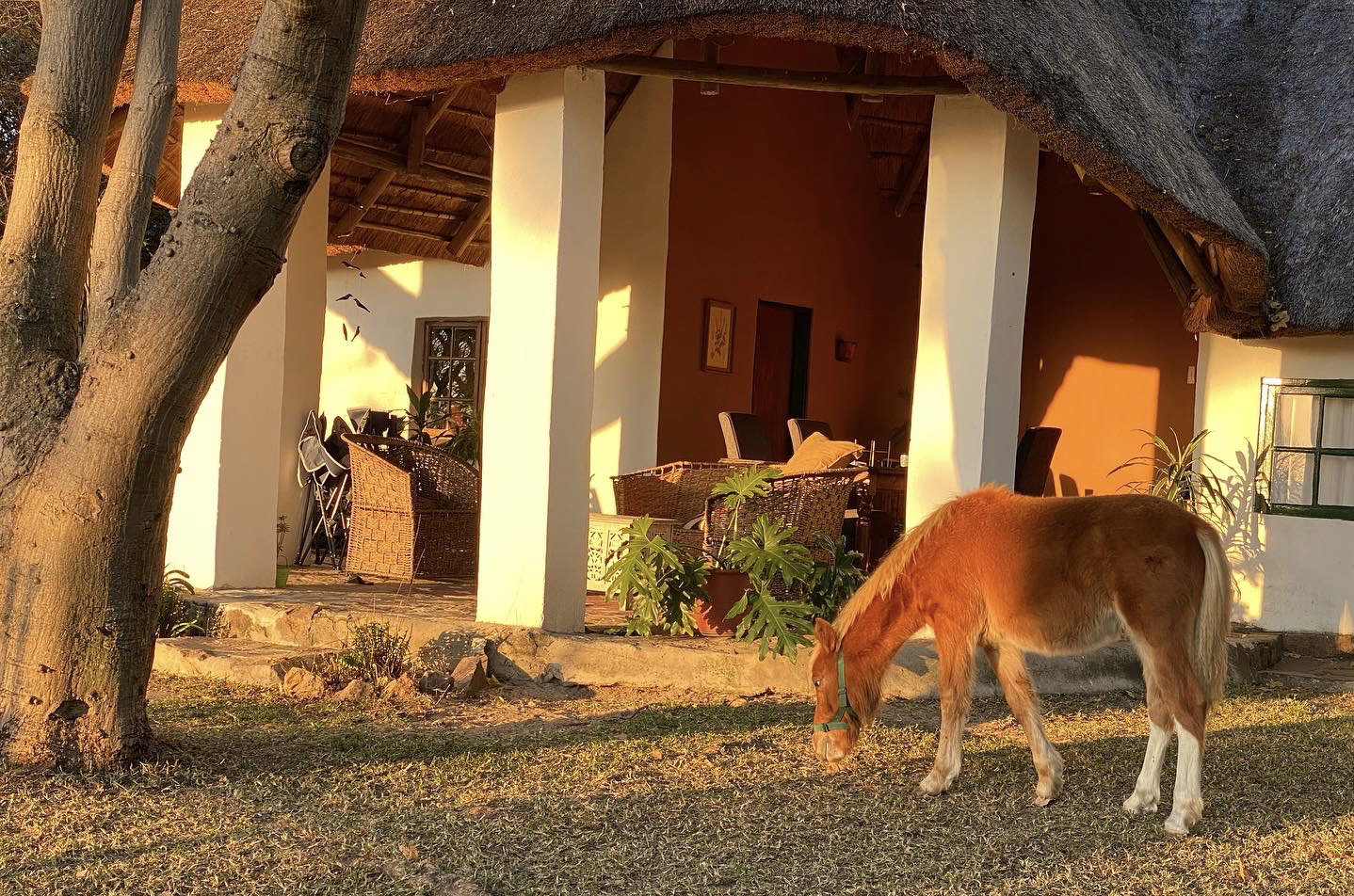 Waterberg Cottages image 4
