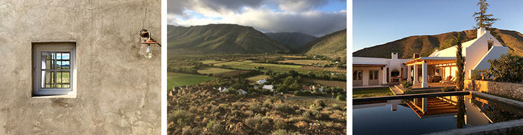 The Olive House