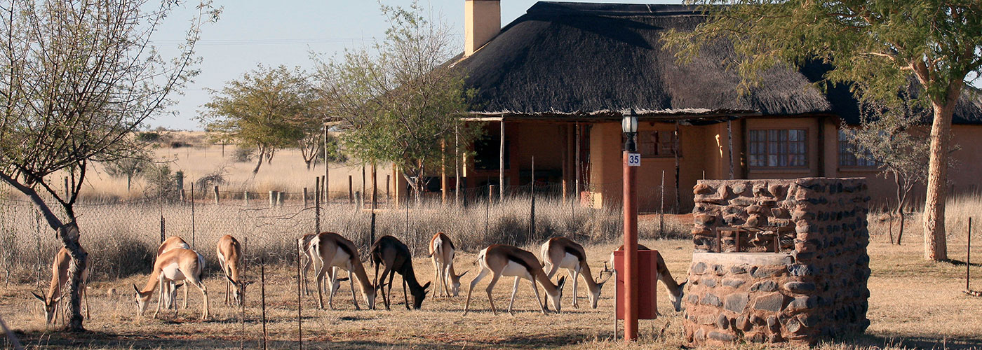Kalahari Monate Lodge