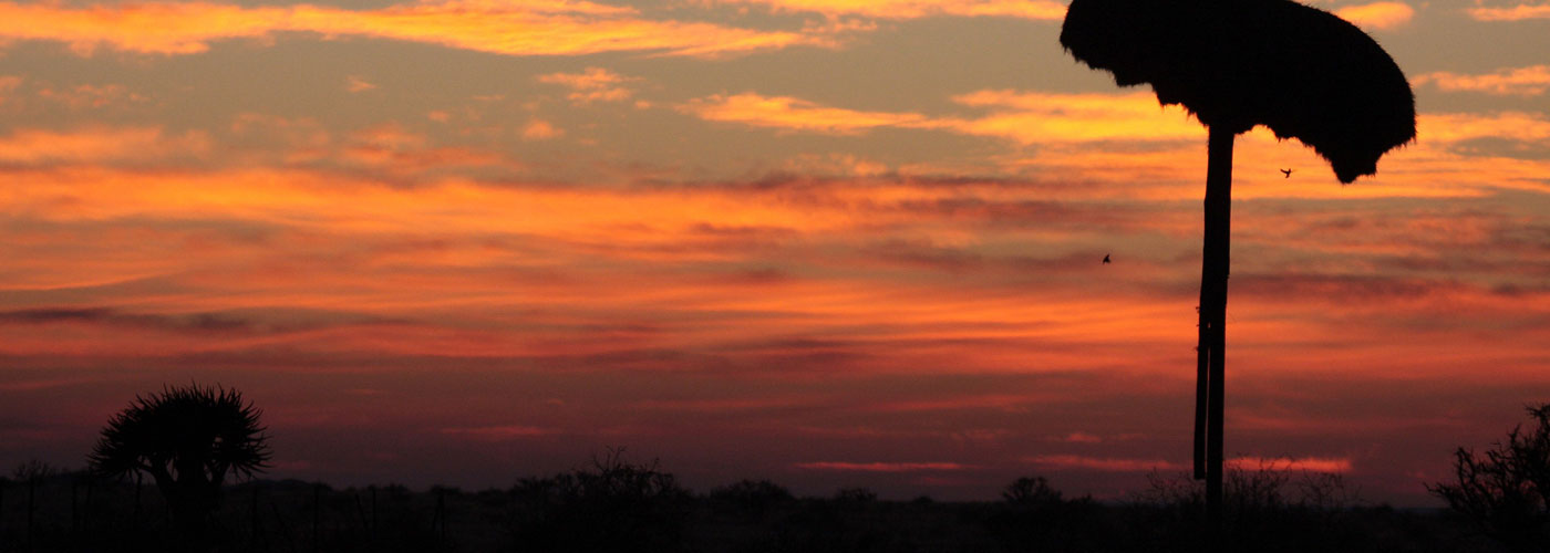 Kalahari Monate Lodge